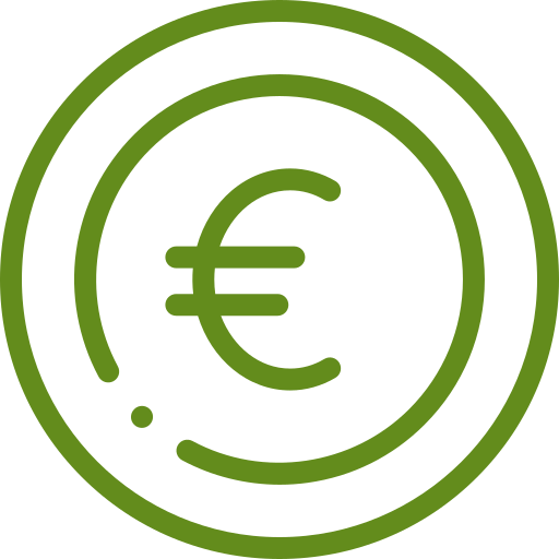 Euro icon